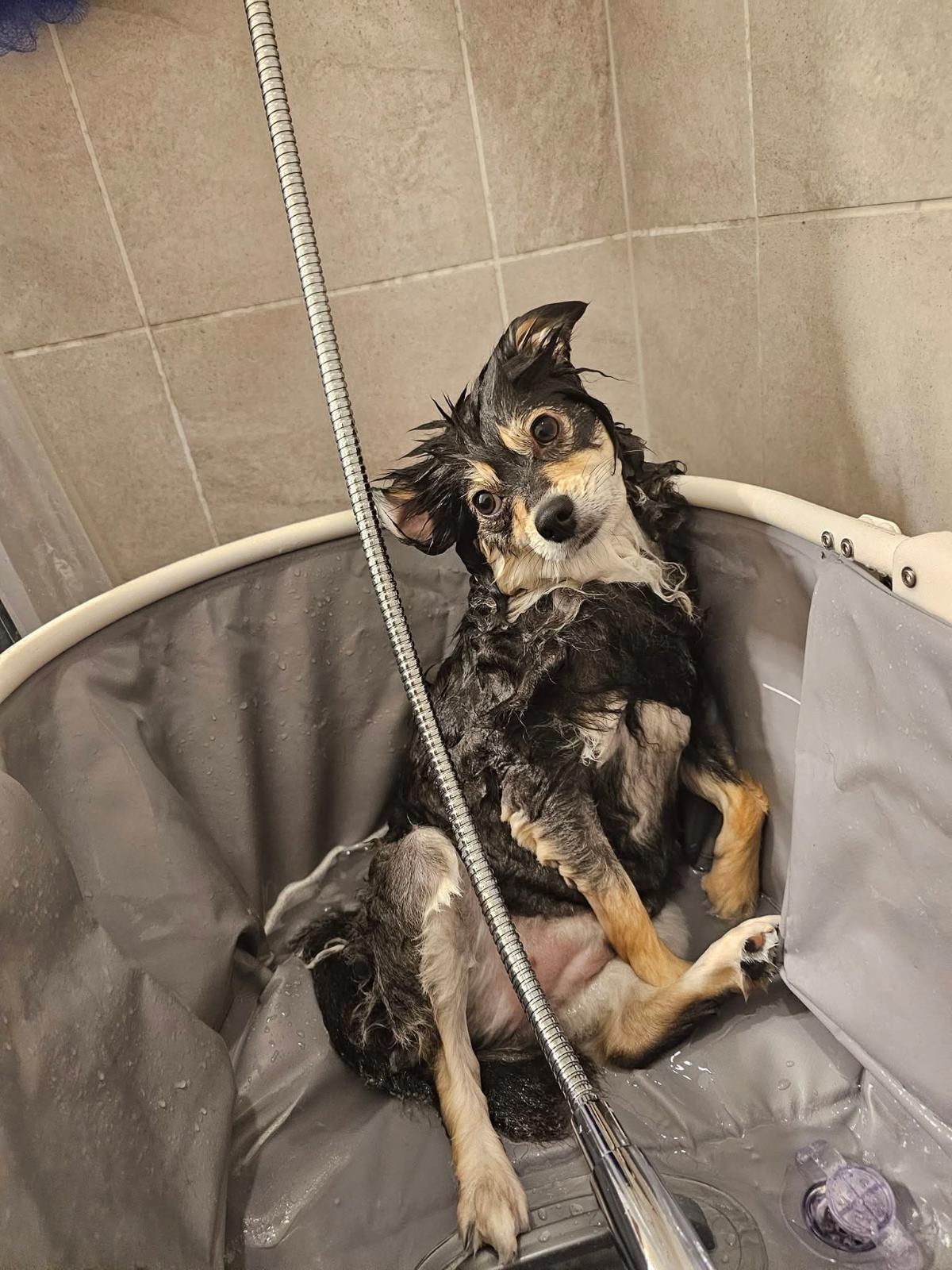 unnamed image